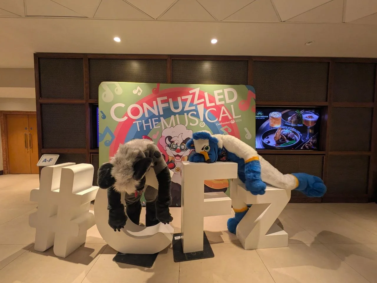 img12